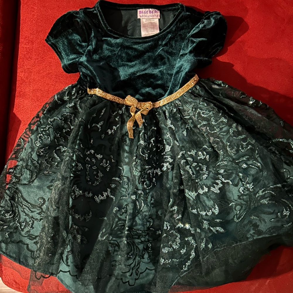 Blueberi Boulevard Emerald Velvet Dress with Gold Accent